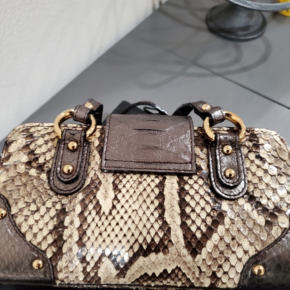 Genuine Python Dolce and Gabbana vitello corrida beige mini python clutch - Picture 2 of 16